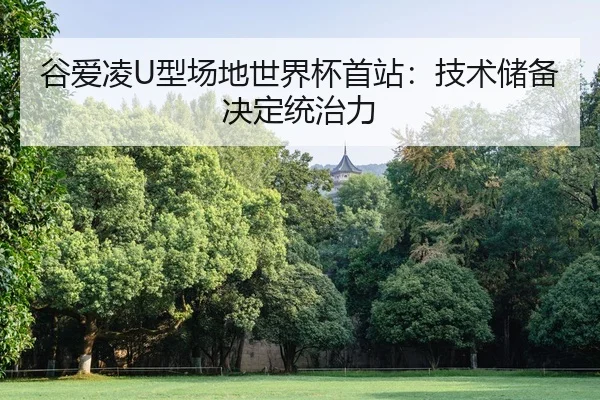gu-ai-ling-xing-chang-di-shi-jie-bei-shou-zhan-ji-shu-chu-bei-jue-ding-tong-zhi-li-1-822.jpg