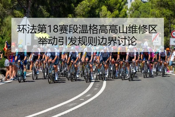 huan-fa-di-sai-duan-wen-ge-gao-gao-shan-wei-xiu-qu-ju-dong-yin-fa-gui-ze-bian-jie-tao-lun-3-973.jpg