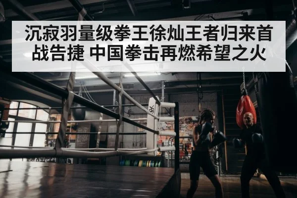 boxer training